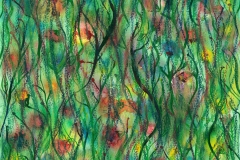 Fores-OF-Flowers-300-DPI-16cm