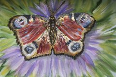 ''Butterfly’’ SIZE standard A4, Watercolor + white gouache. PRICE: 50 euro + shipping